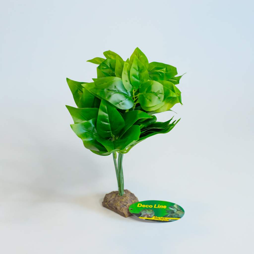 Lucky Reptile Golden Pothos auf Steinsockel